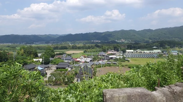 View 4
