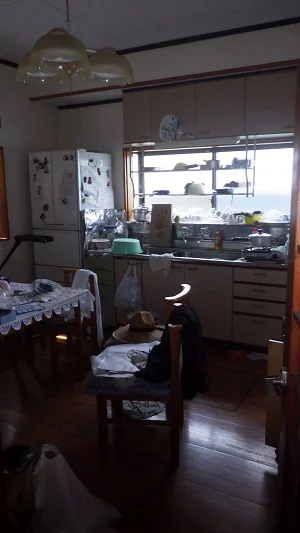 View 8