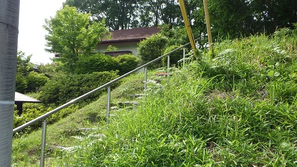 View 4