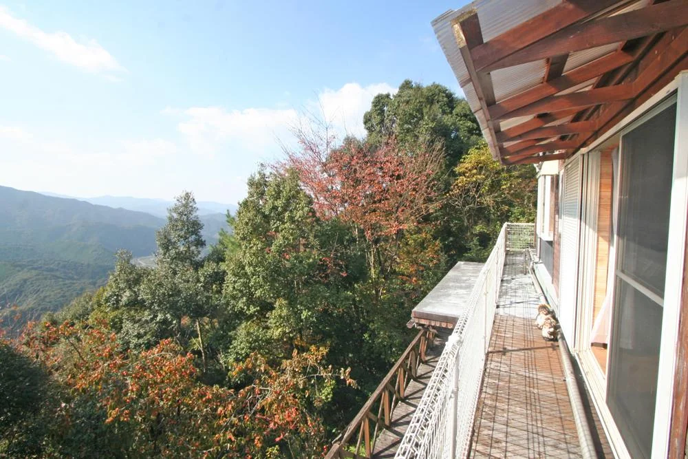 View 9