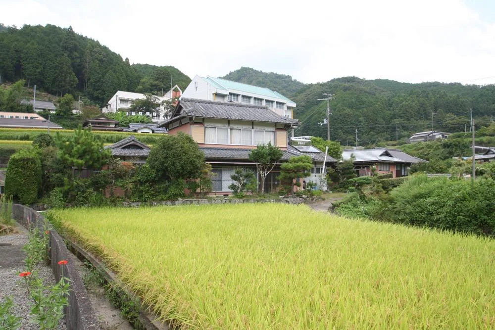 View 2
