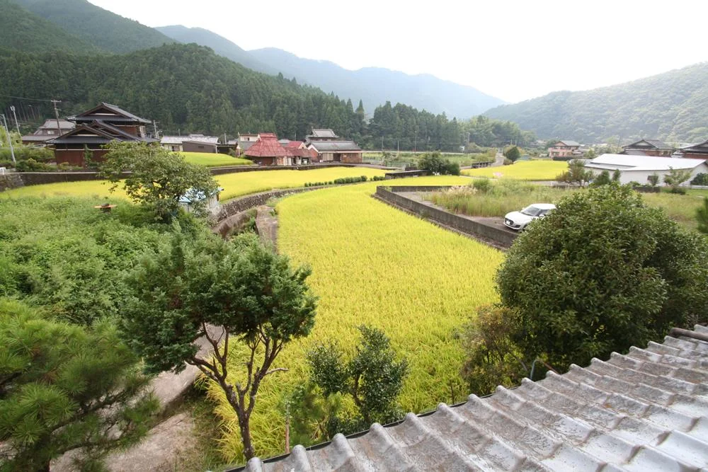 View 7