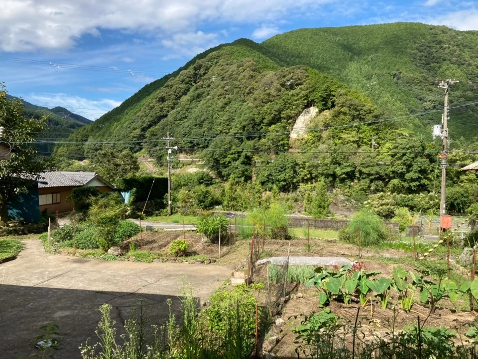 View 14