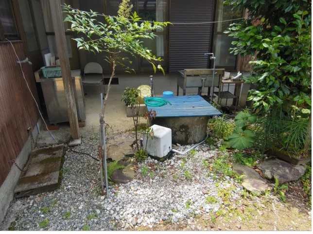 View 19