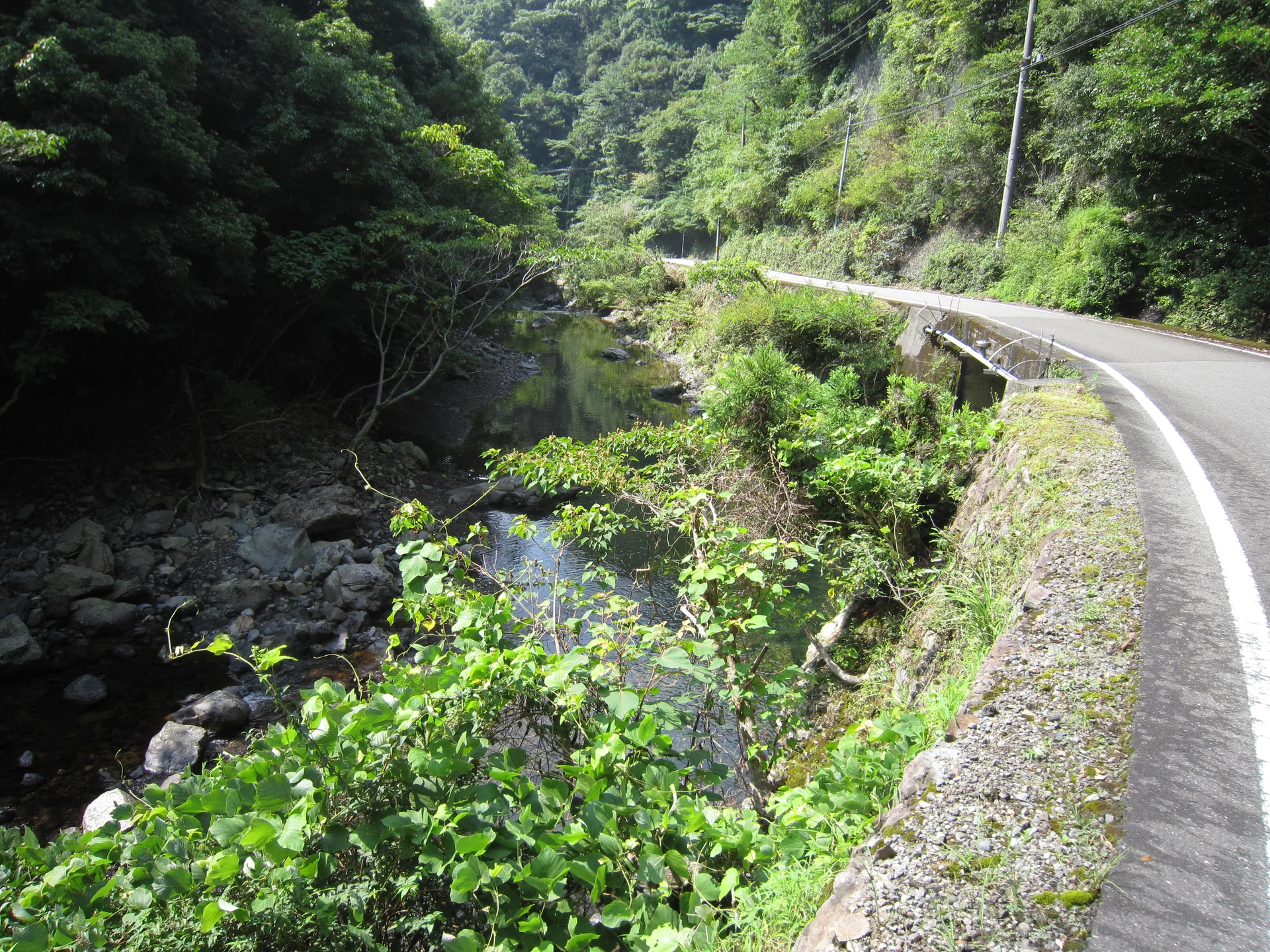 View 18