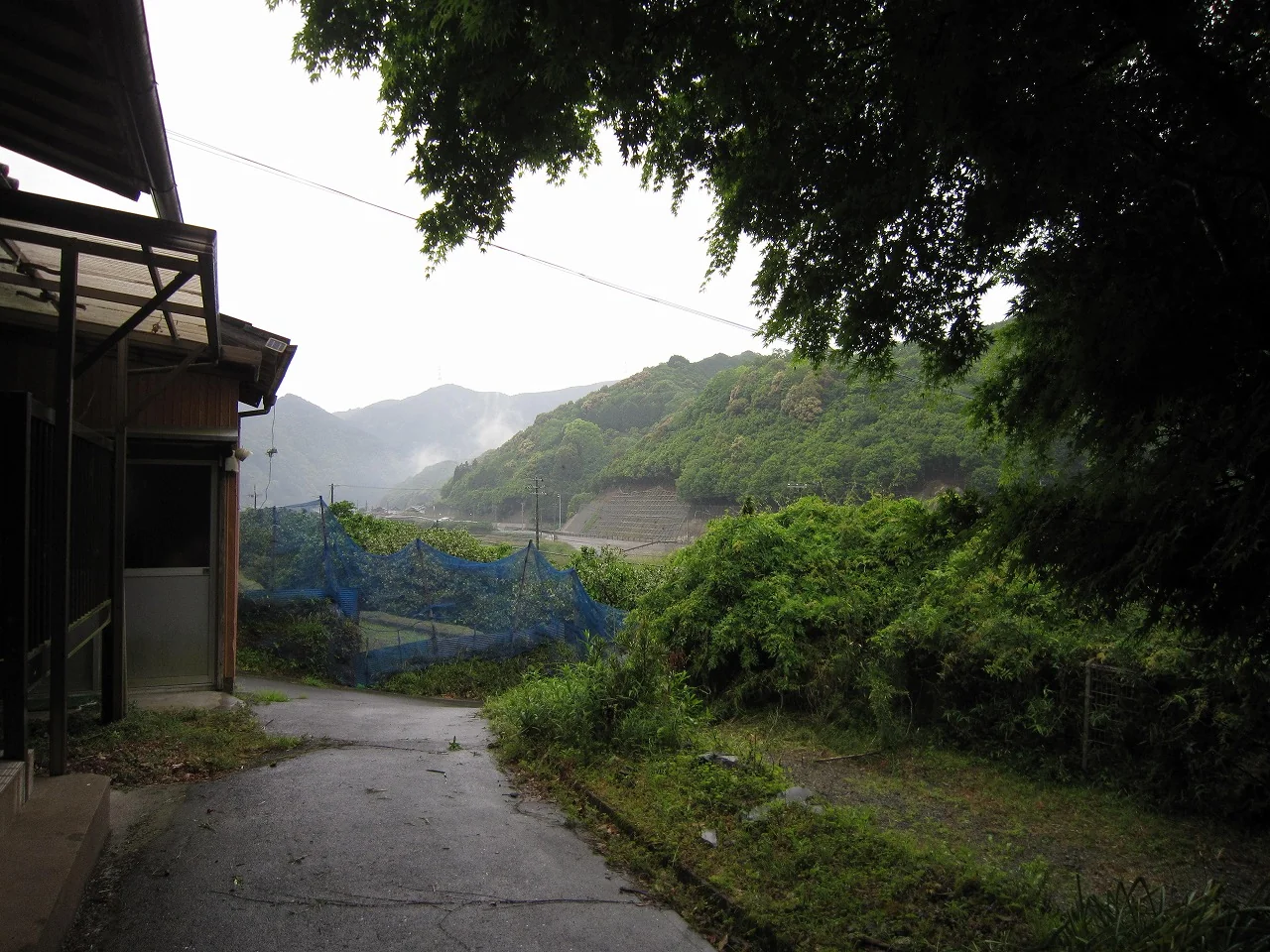 View 17