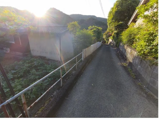 View 20