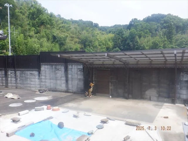 View 19