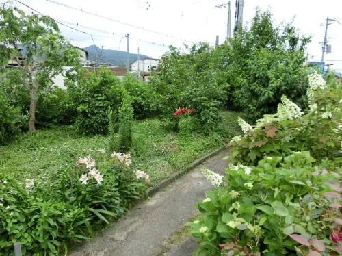 View 17