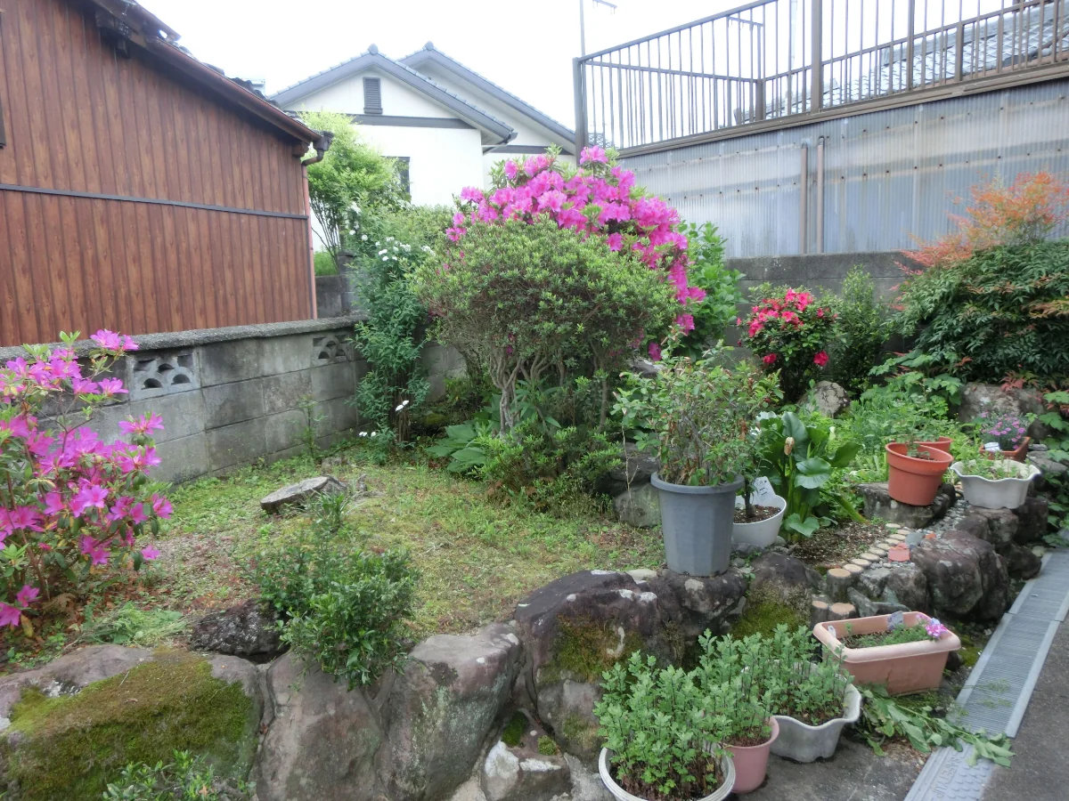 View 15