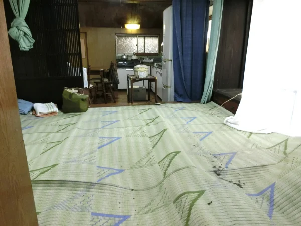 View 8