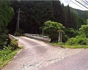 View 19