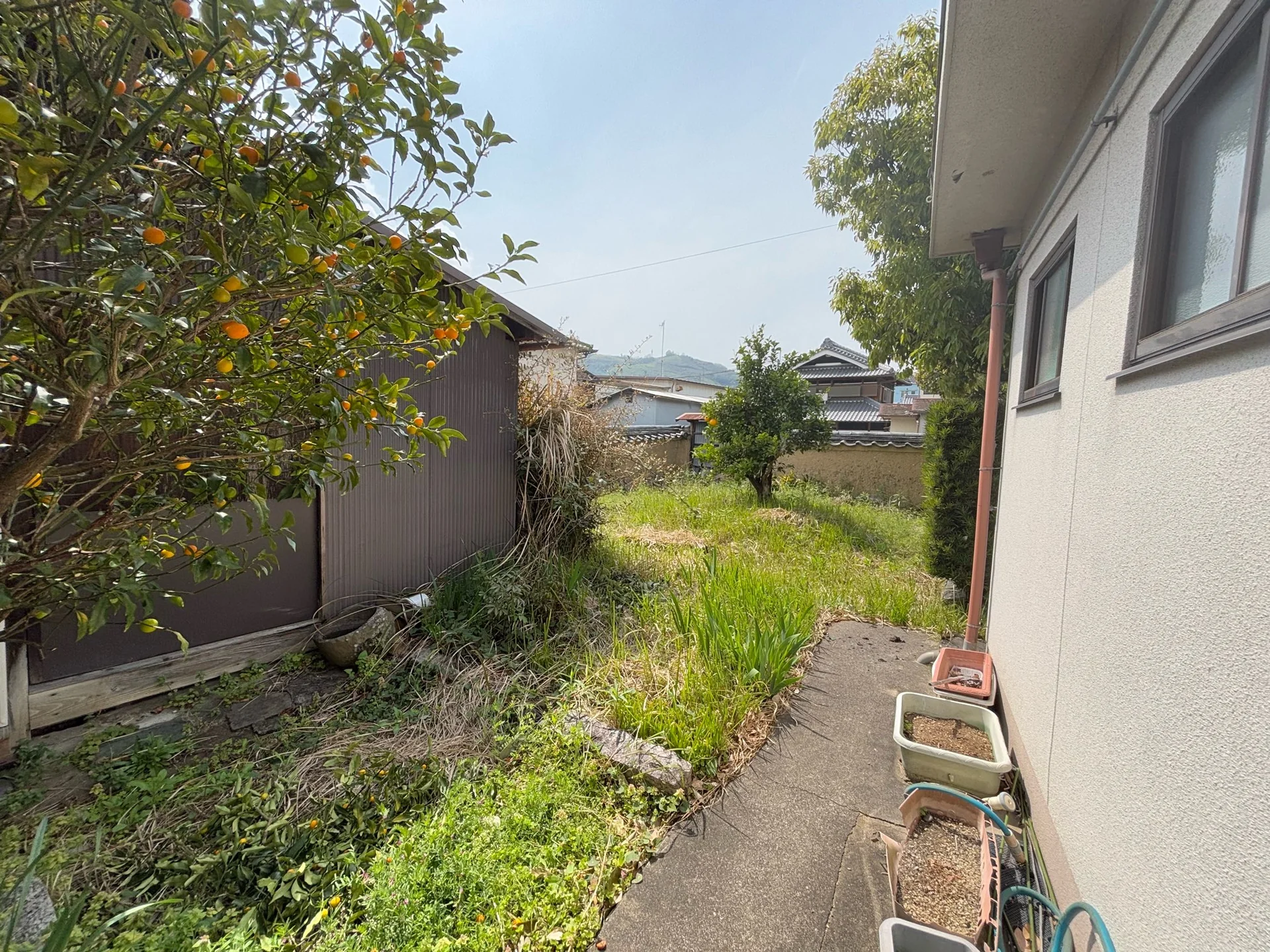 View 23