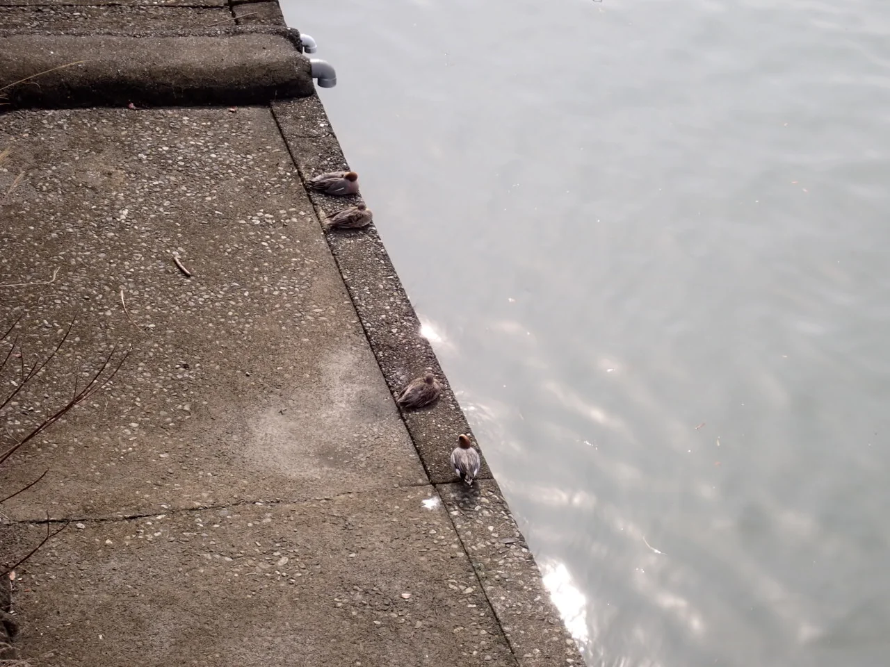 View 12