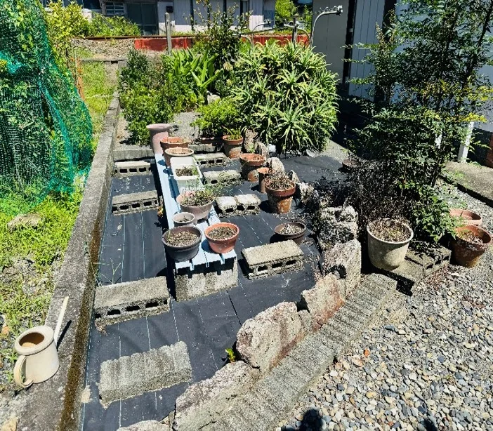 View 18