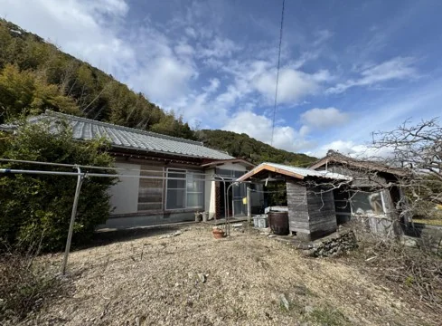 View 14