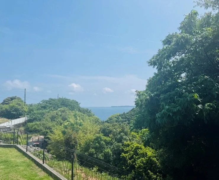 View 23