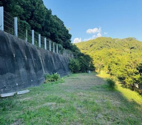 View 24