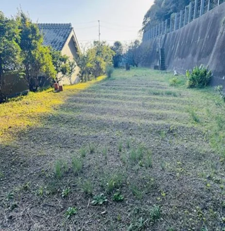 View 25
