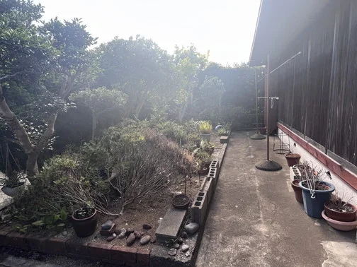 View 25