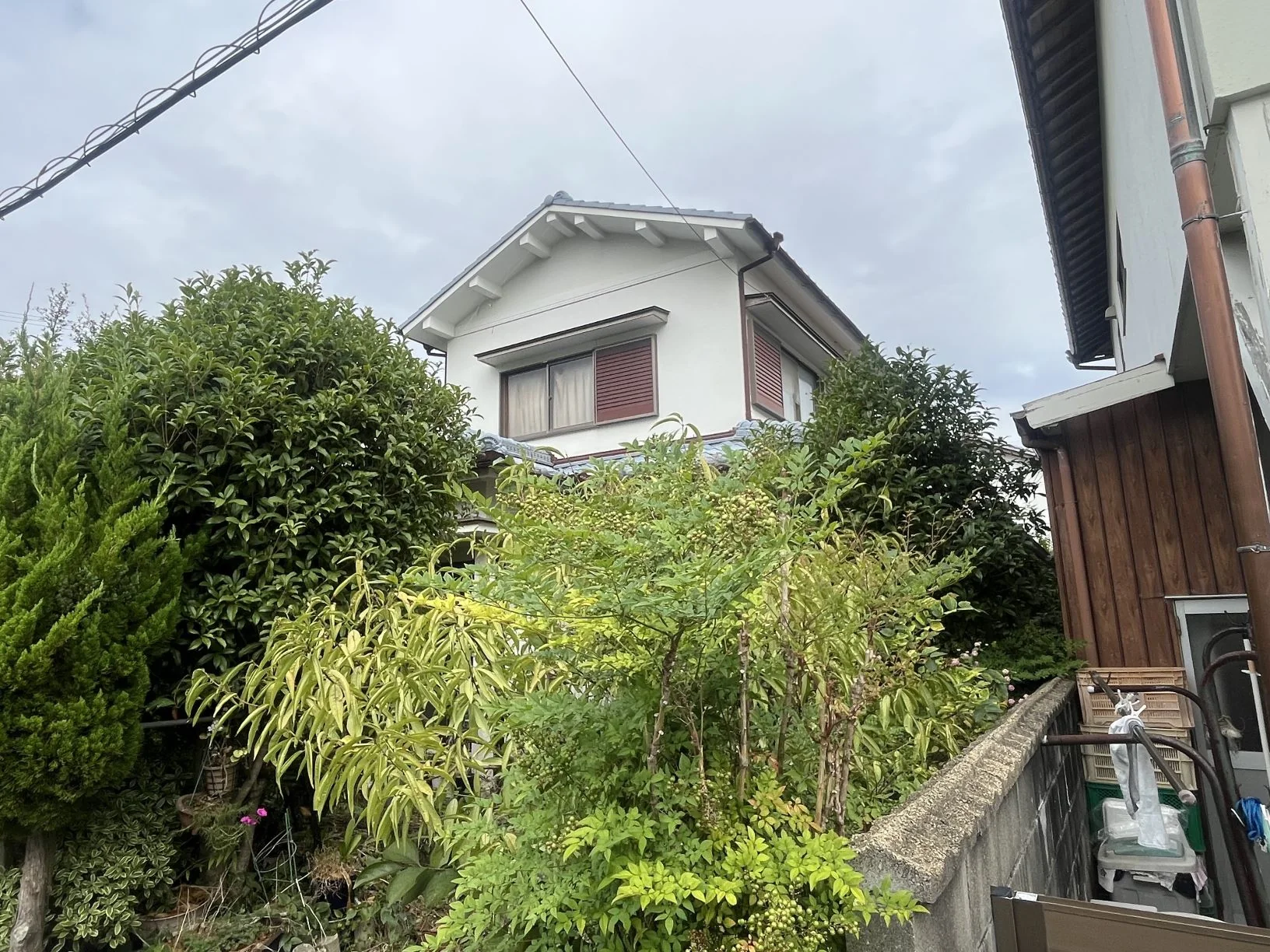 View 15