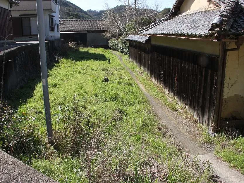 View 19