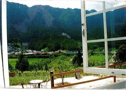 View 12