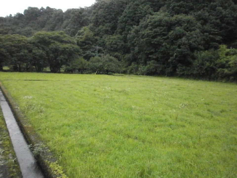 View 16