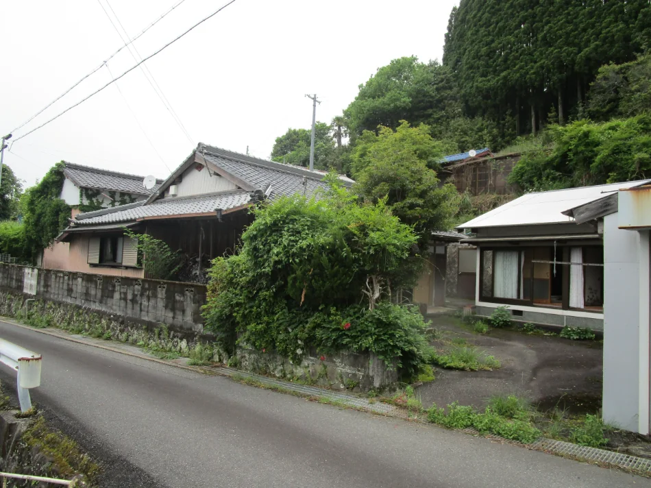View 3