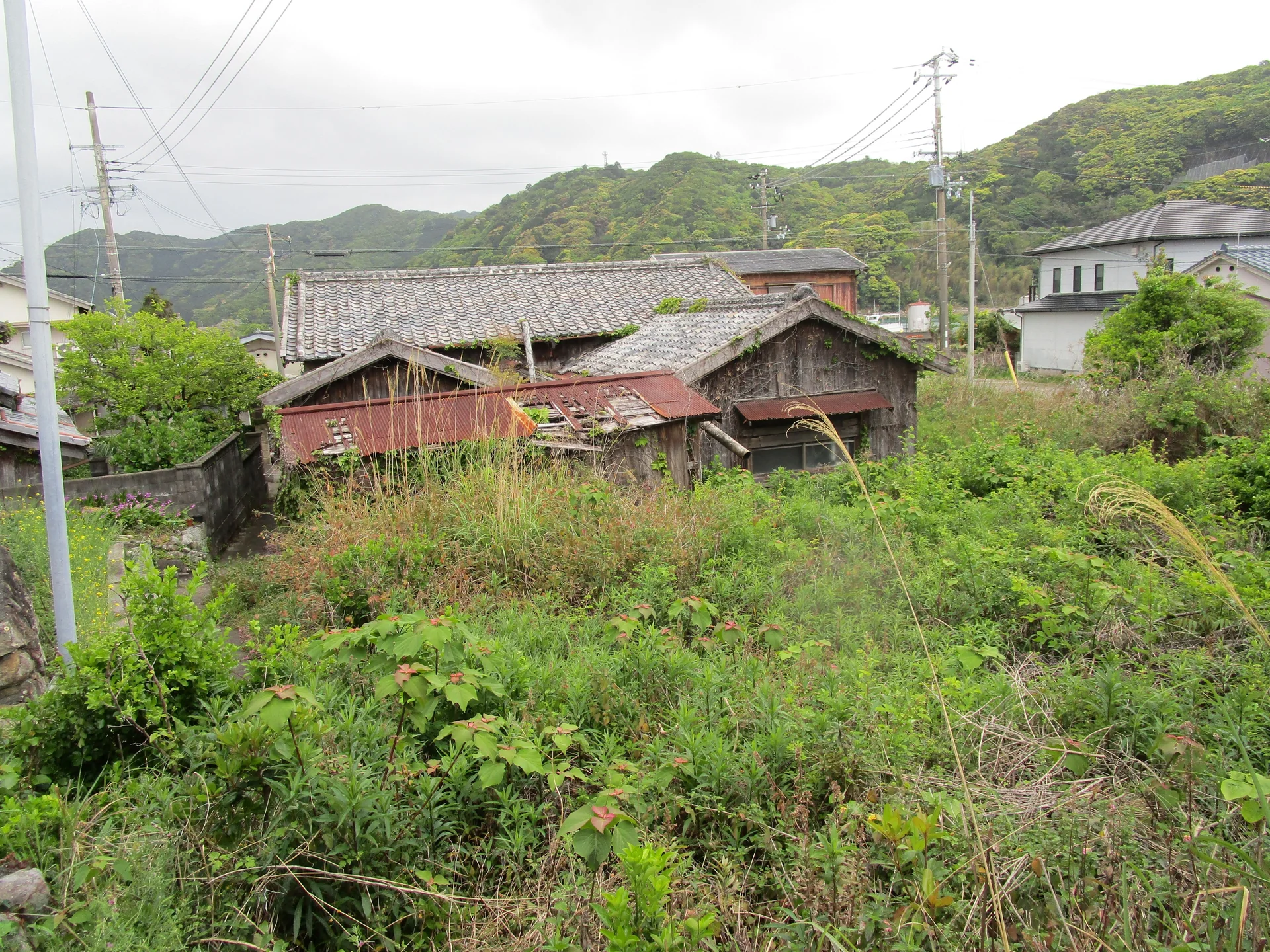 View 18