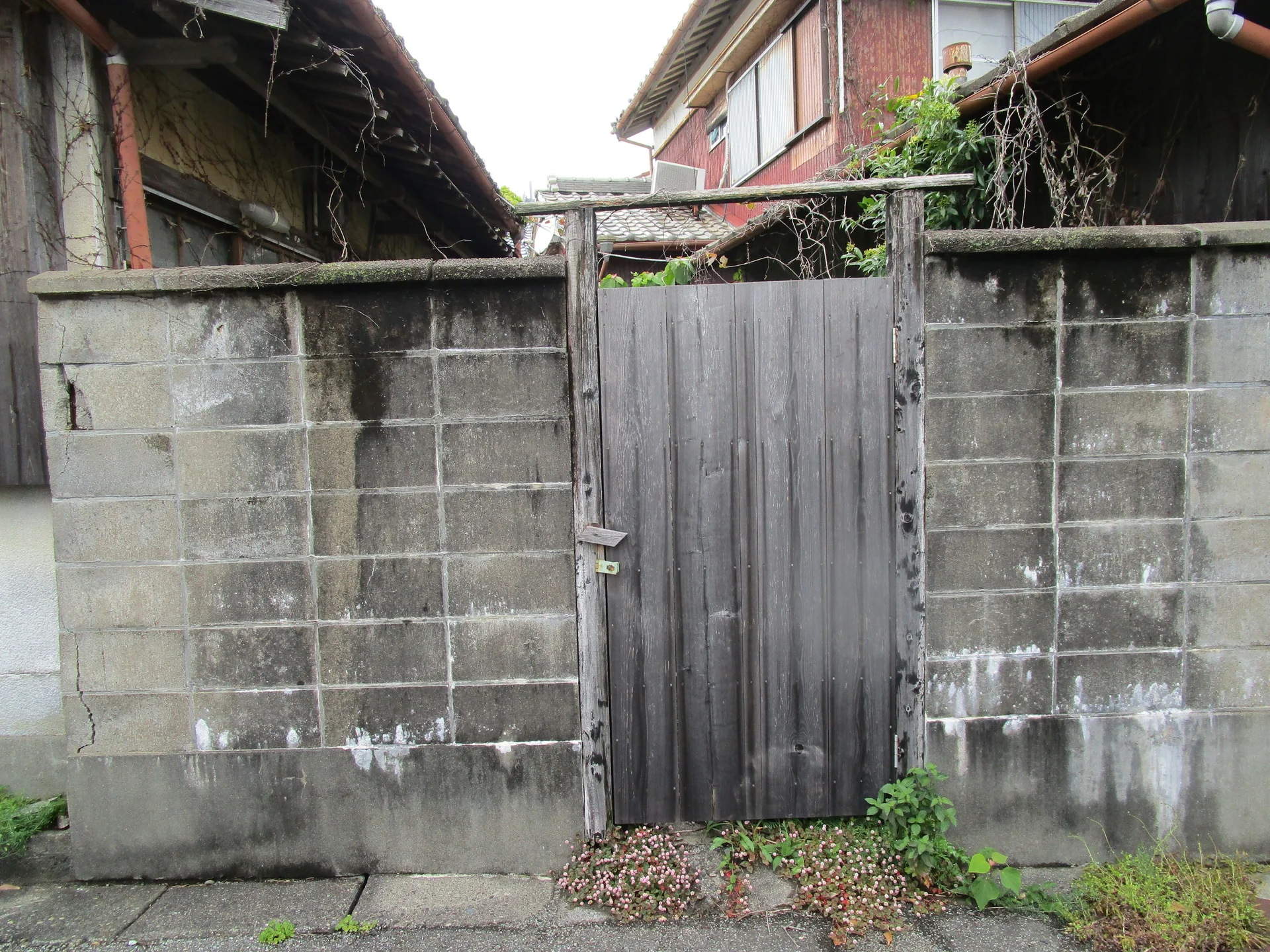 View 10