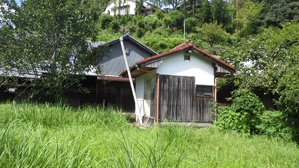 View 13