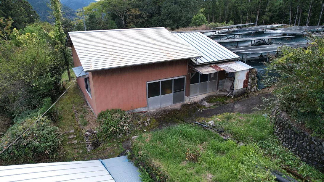 View 11