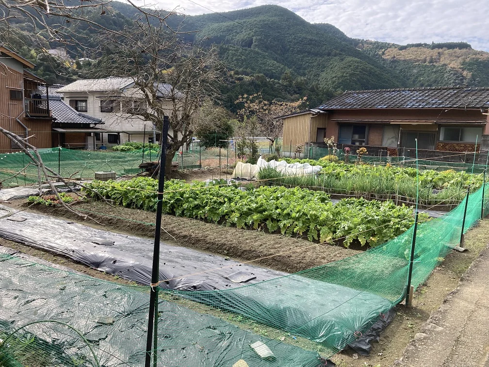 View 13