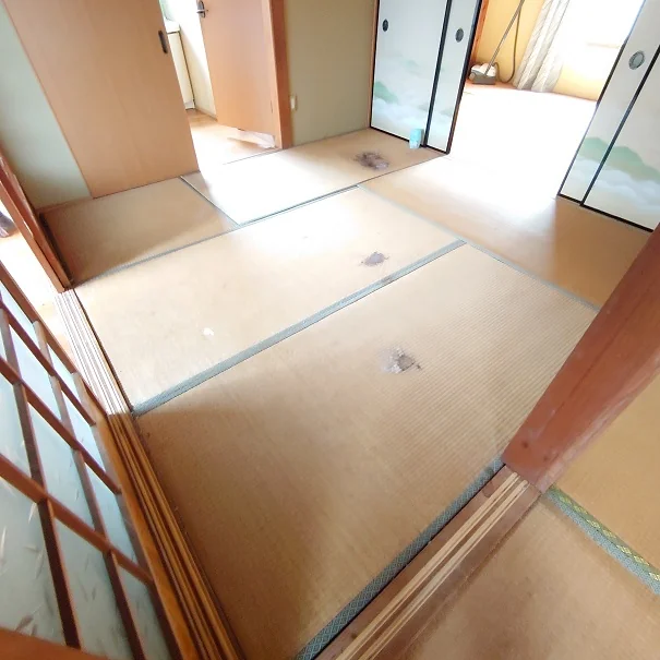 View 6