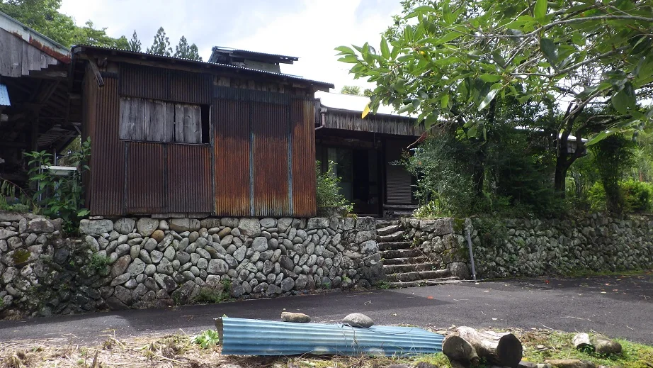 View 13