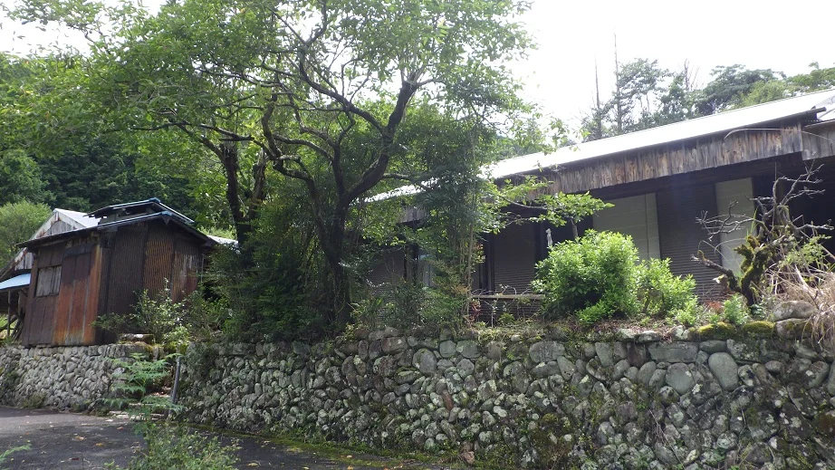 View 3