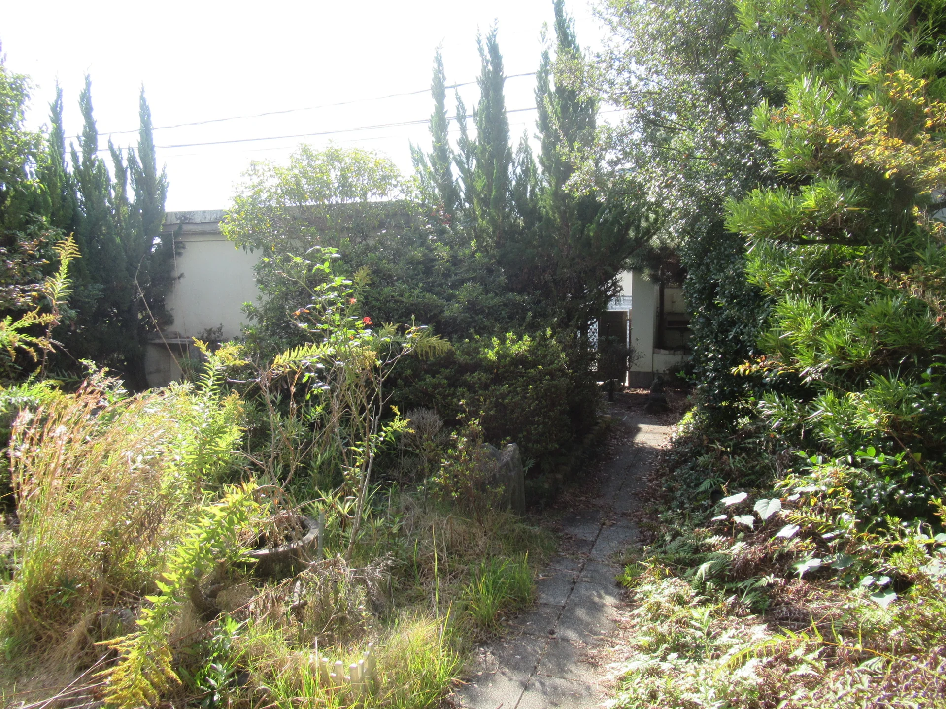 View 17
