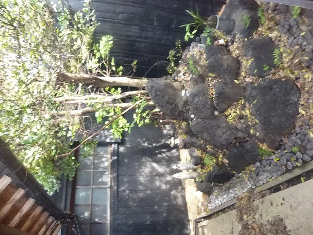 View 13