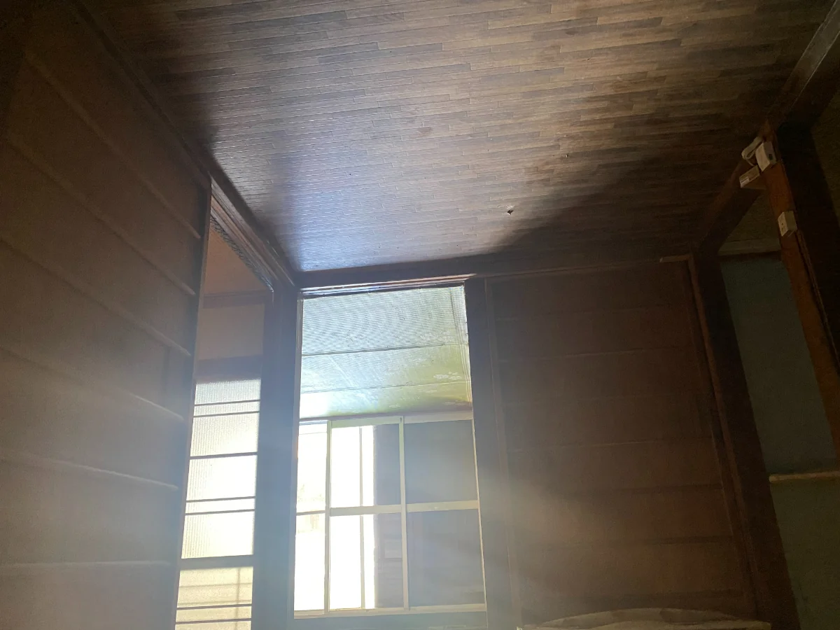 View 8
