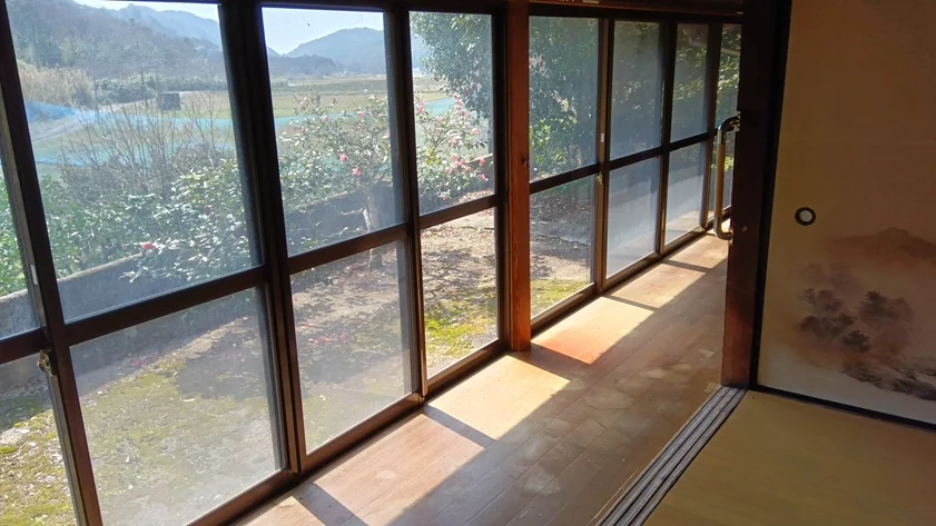 View 8
