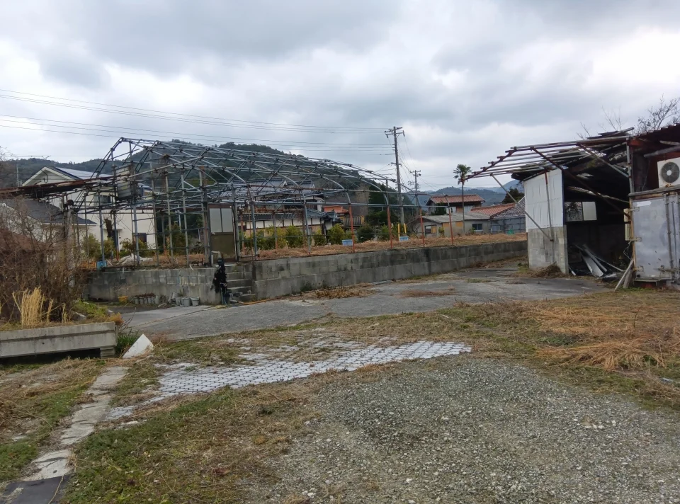 View 6