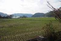 View 6