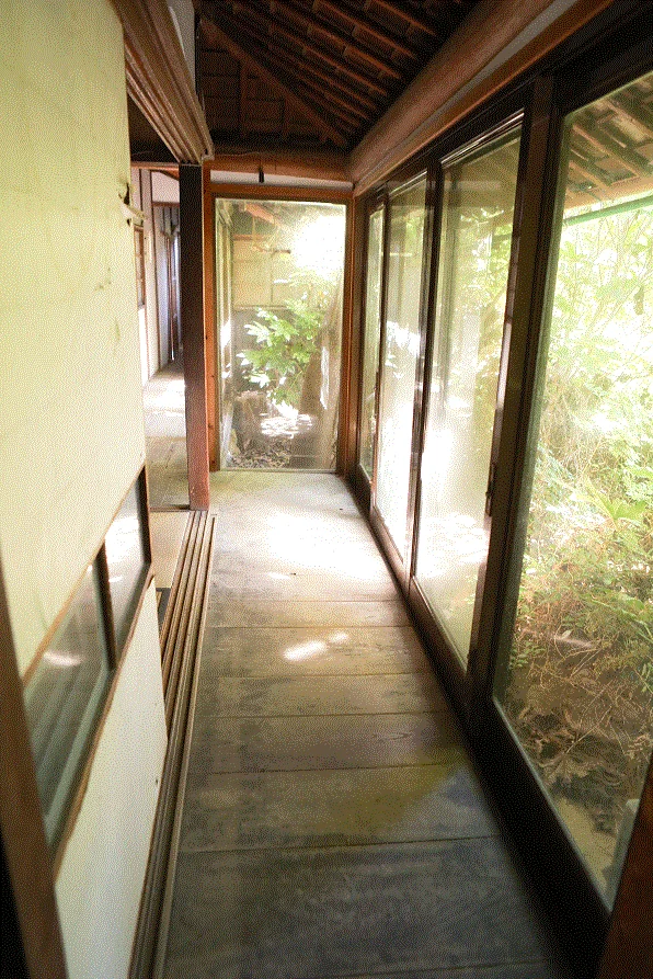 View 12