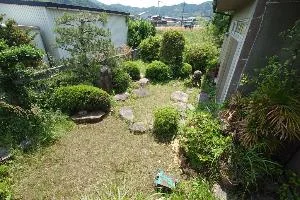 View 10