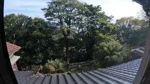 View 10