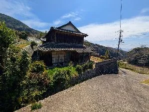 View 3