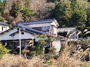 View 3