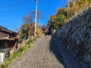View 3