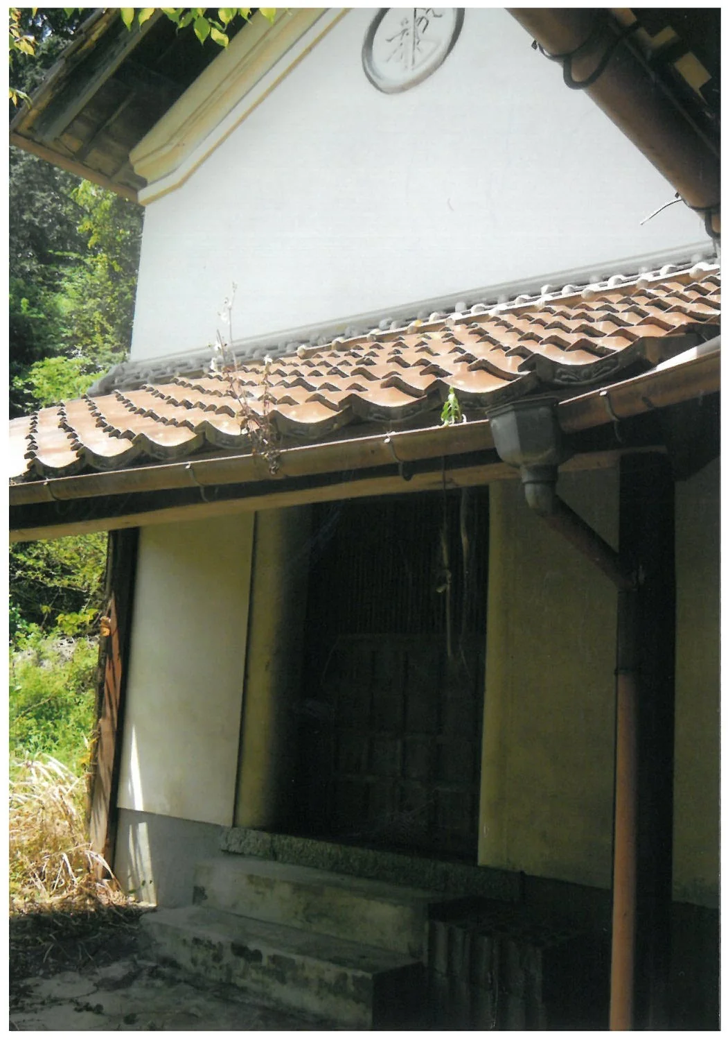 View 11